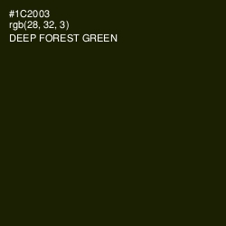 #1C2003 - Deep Forest Green Color Image